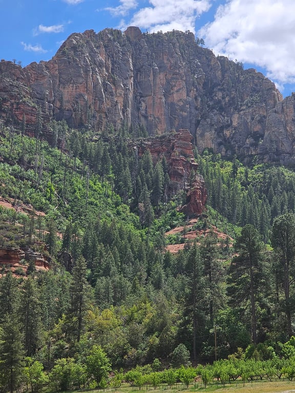 Sedona Sightseeing Highlights Tour - 2.5 Hour Small Group Van Experience Tour Image 6