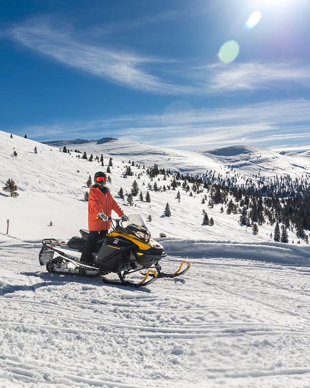 Alpine Express Two Hour Snowmobile Tour image