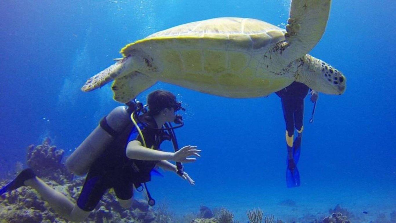 Snorkeling in San Pedro image