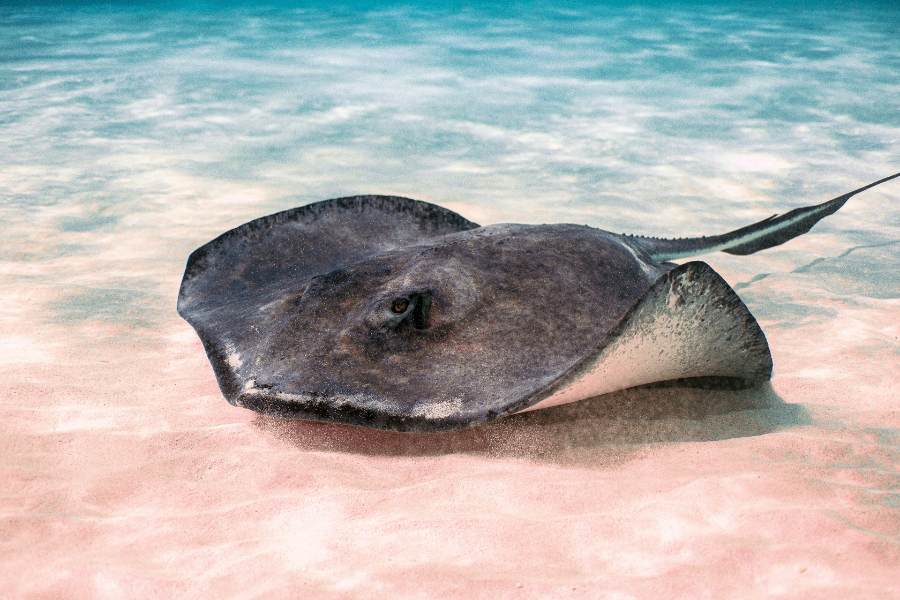 Our Favorite Things to Do & See in Cayman Brac