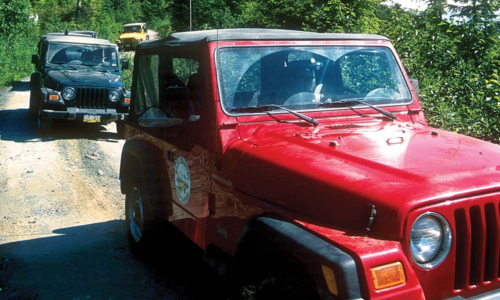 Backcountry Jeep and Canoe Safari Tour Image 9