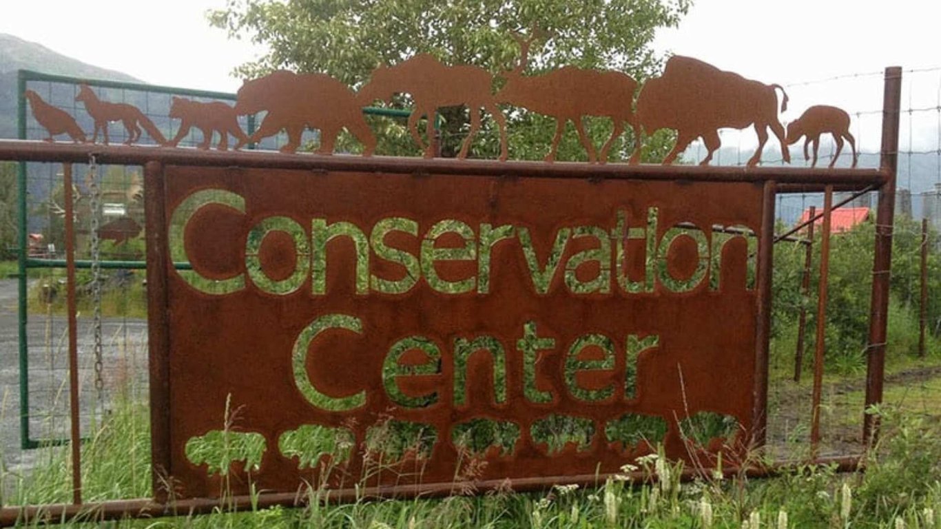 Bears, Trains, & Icebergs Tour Tour Image 5