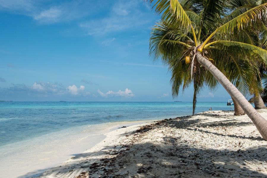Belize City's Weather: What to Expect in Every Season
