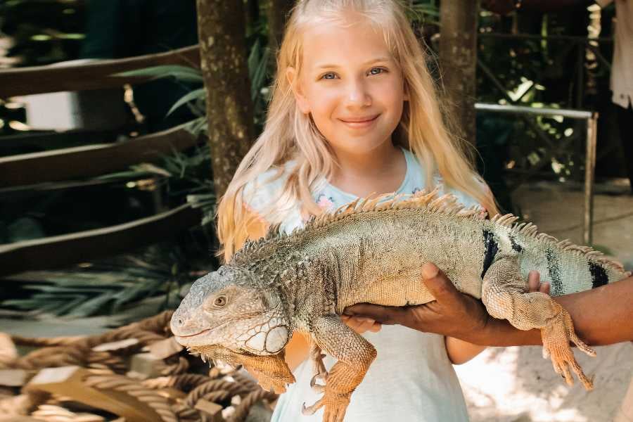 A girl is holding a wild animal in her hands