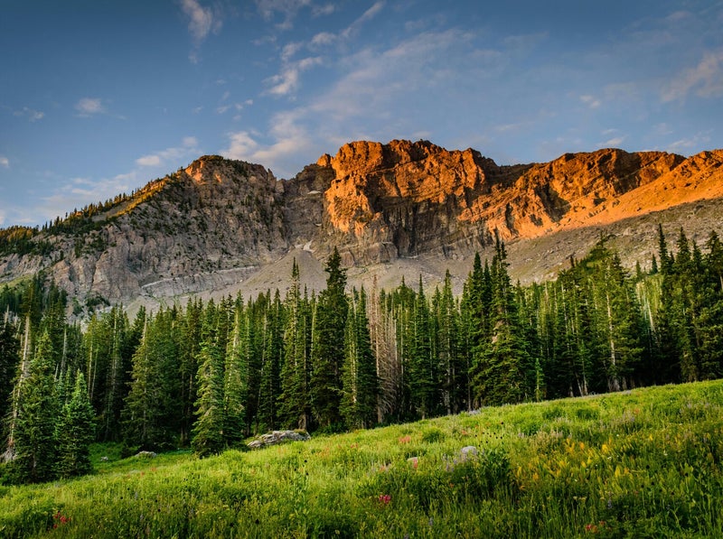 Bozeman Wildlife & Scenic Sightseeing Tour Tour Image 4