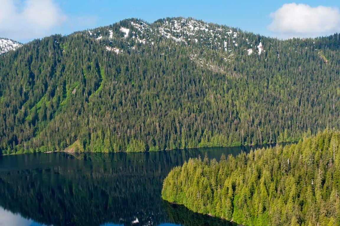 Misty Fjords Flightseeing Tour Image 12