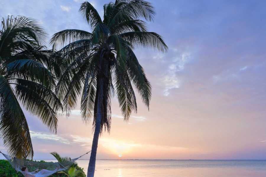 A beautiful view of the beach