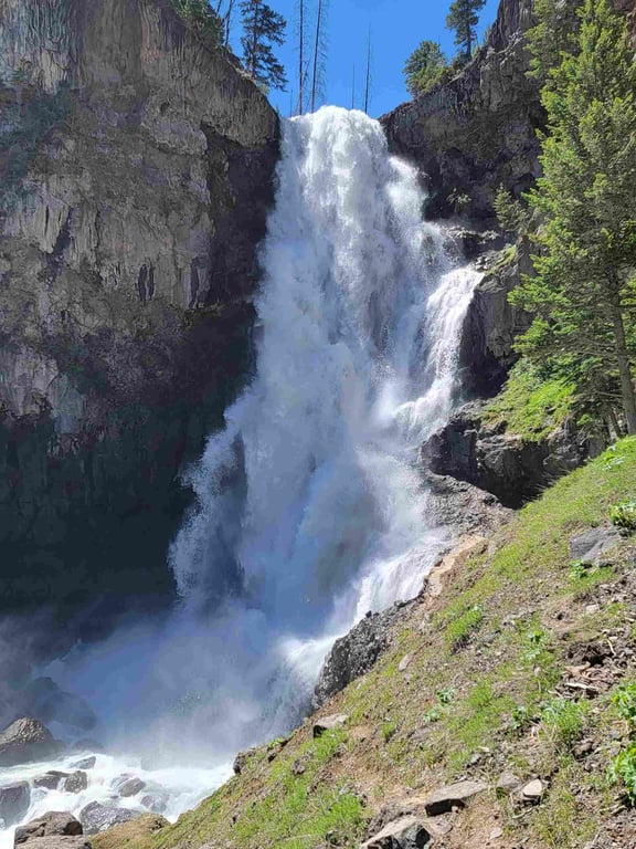 Osprey Falls Guided Hike & Bike Tour Image 4