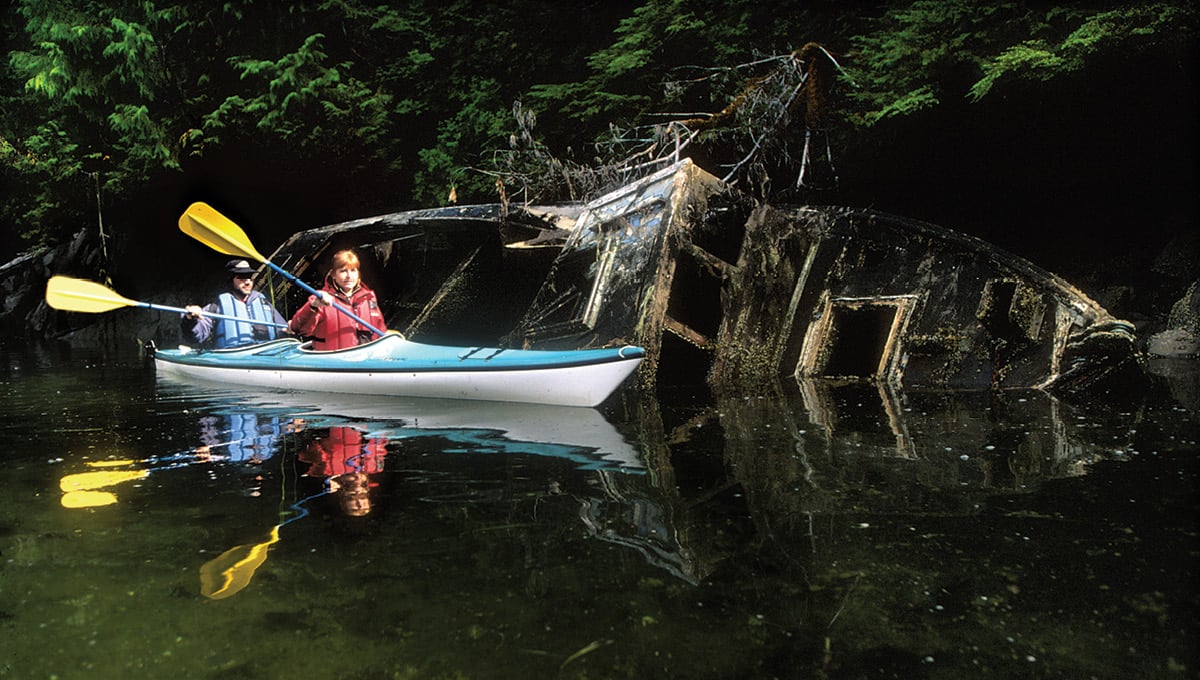 Wilderness Sea Kayaking Adventure image