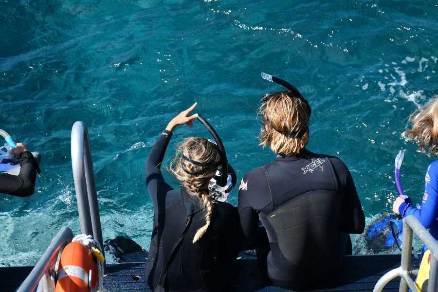 Two snorkelers gear up for an exciting plunge into crystal-clear waters.