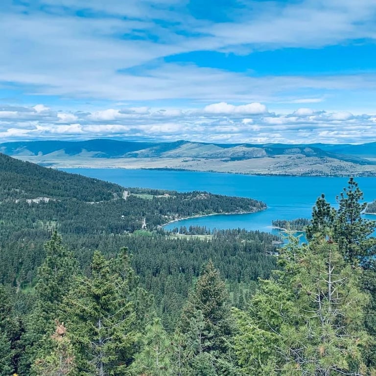 Full-Day Flathead 2-Seater UTV Rental Tour Image 9