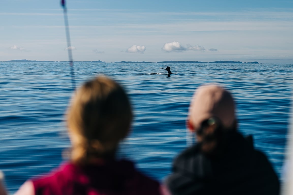 Private Sitka Wild Coast Exploration Wildlife Boat Trip Tour Image 8