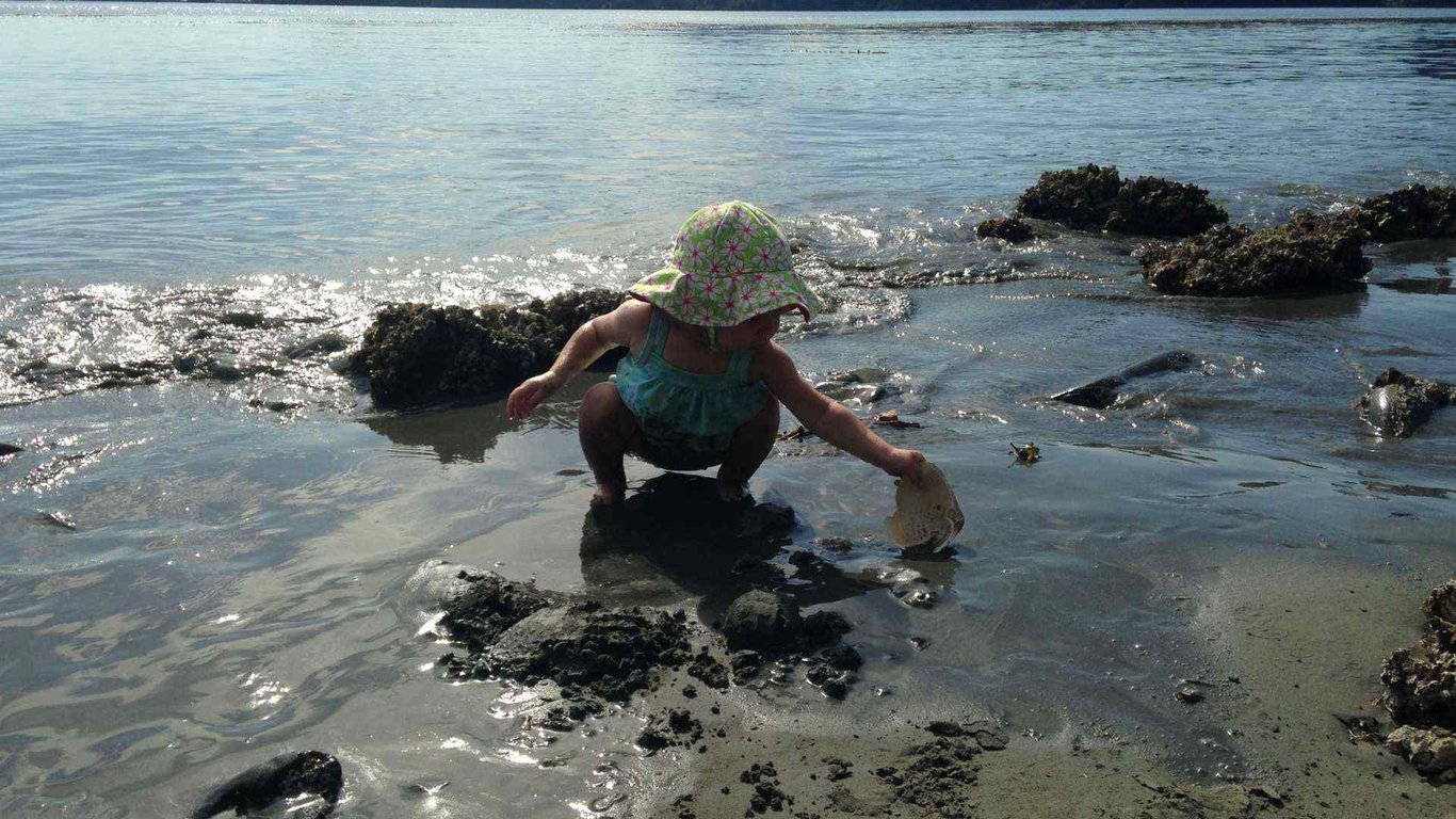 Private Photo Safari, Beachcombing, & More Tour Image 6