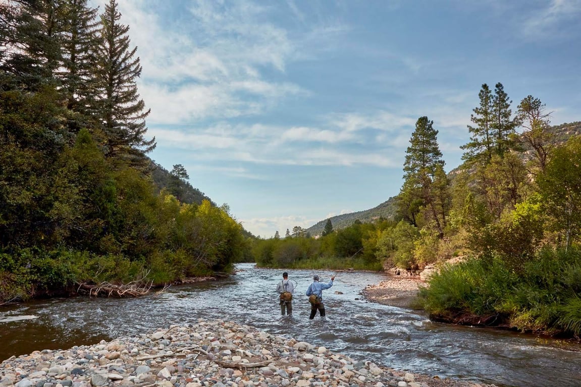 Telluride Guided Fly Fishing Half Day Tour Image 2