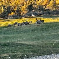 Jeep tours with the best tour guide and breathtaking scenery review image 0