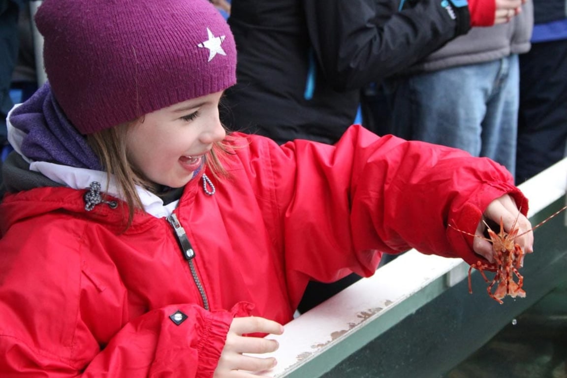 Crew hauling crab pots aboard the Aleutian Ballad during the Bering Sea Crab Fishermen's Tour