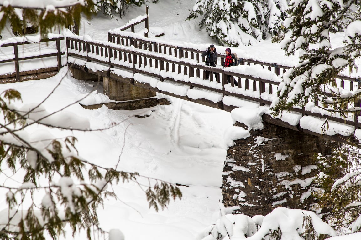 Glacier Park Cross-Country Skiing Tour Tour Image 8