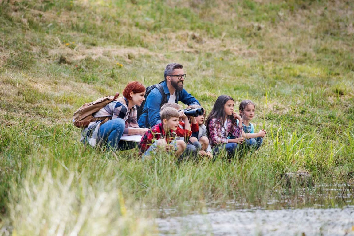 Private West Yellowstone Upper Loop Wildlife Photo Tour Tour image