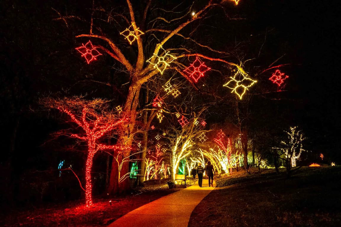 Cheekwood Estate gardens decorated with holiday lights and glowing pathways in December