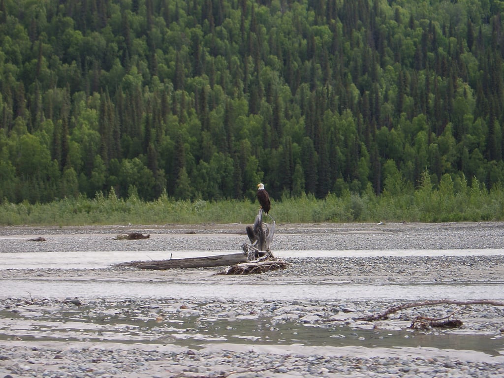 Matanuska River Scenic Float Tour Image 4