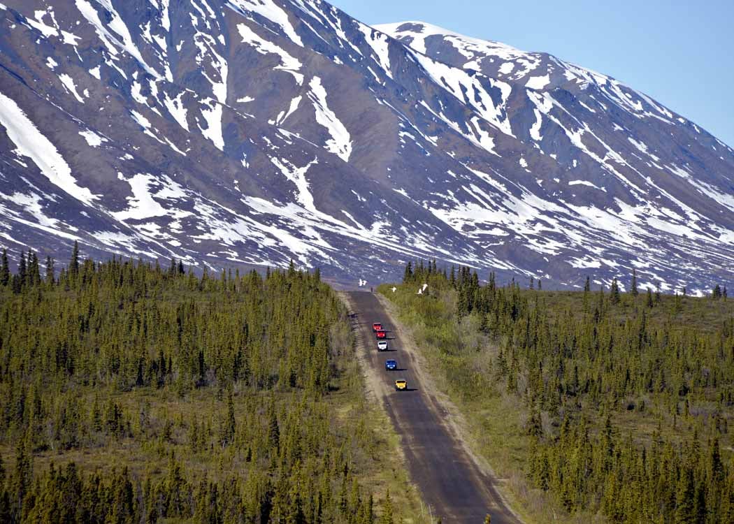 Discover the Wonders of Alaska's National Parks: Insights from a Local Expert