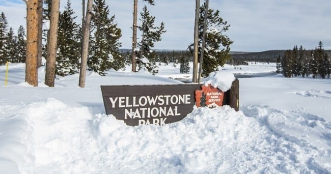 Snow Lodge to Flagg Ranch Shuttle image