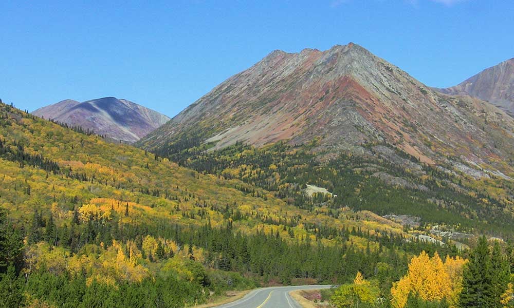 Yukon Suspension Bridge & Summit Tour Tour Image 5