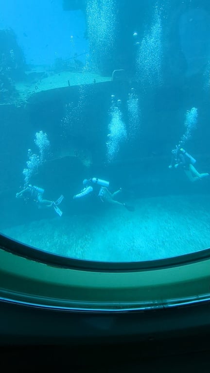 Great experience, great crew. review image 1