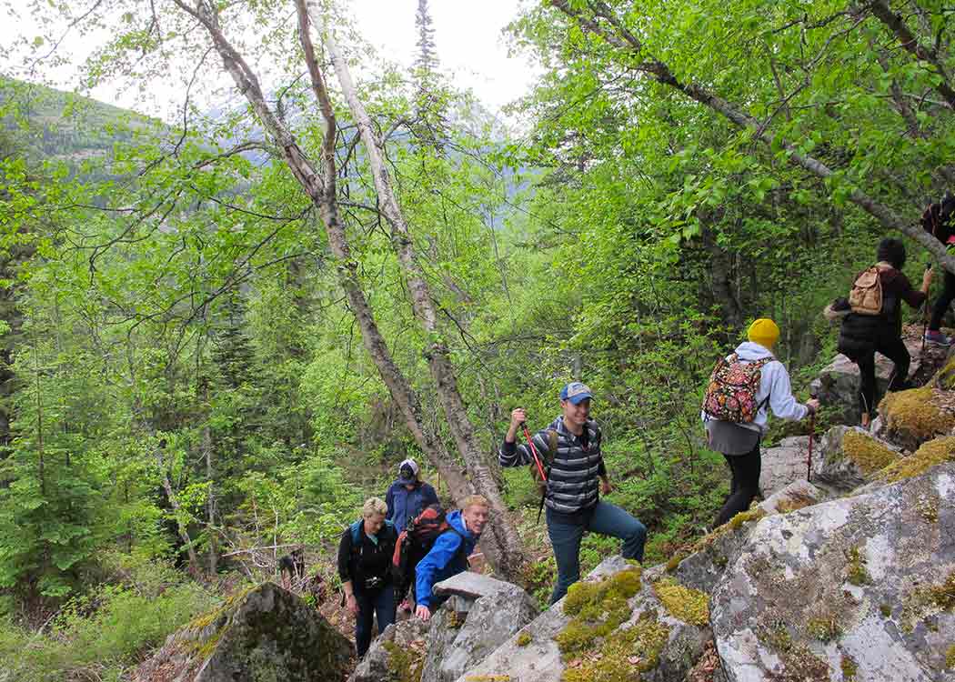 Skagway Adventure Hike Tour Image 2
