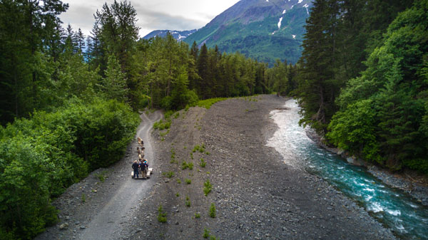 Seward Wilderness Dog Sled Ride & Tour Tour Image 5