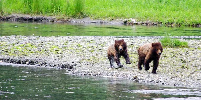 7 High-Demand Alaska Cruise Tours You’ll Want to Book Early