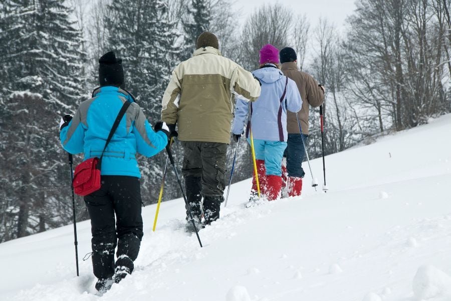 Group snowshoeing uphill through fresh snow in a winter forest.