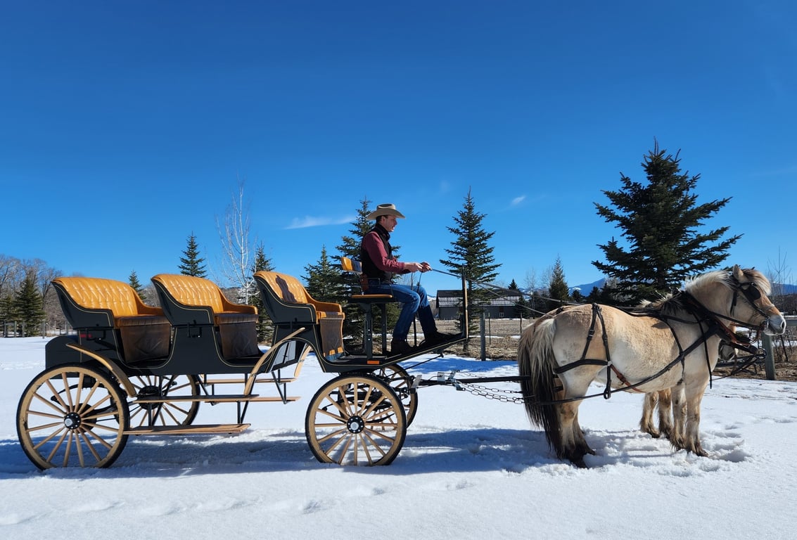 One Hour Bozeman Sleigh Ride Tour Image 5