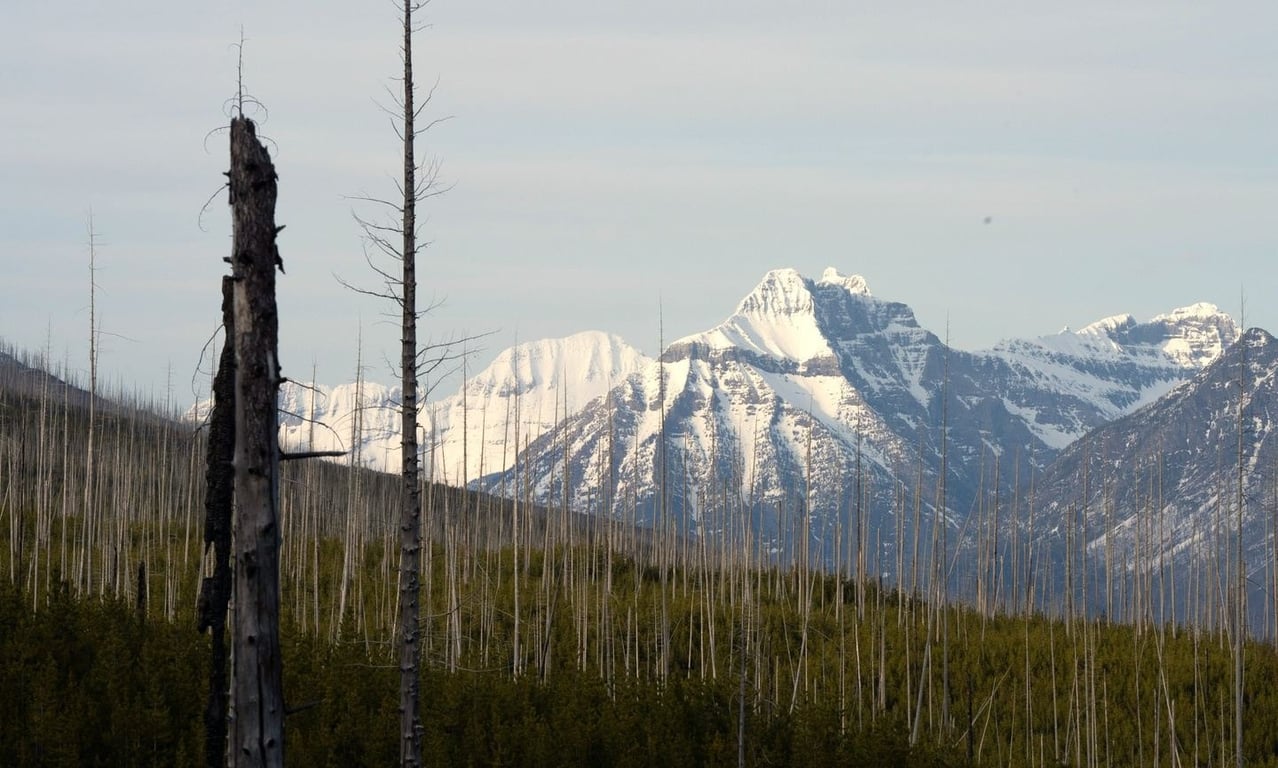Polebridge & West Glacier Private Sightseeing Experience Tour Image 6