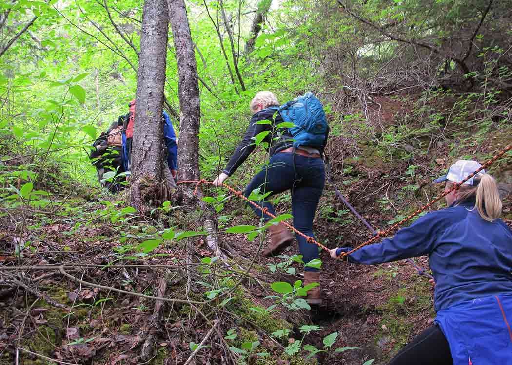 Skagway Adventure Hike Tour Image 7