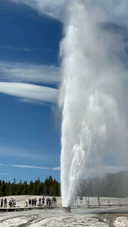 Yellowstone Highlights Tour Tour Image 1