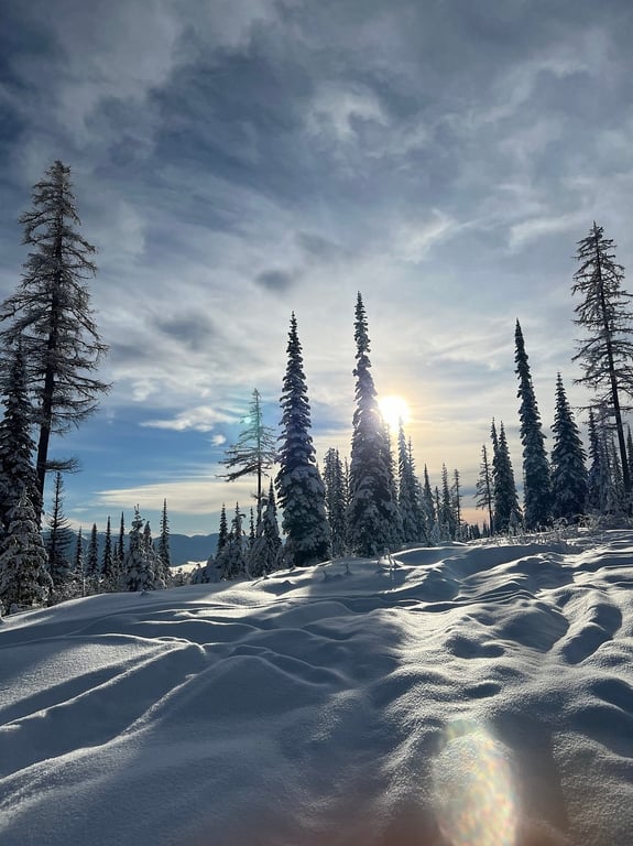 Winter Wonderland review image 2