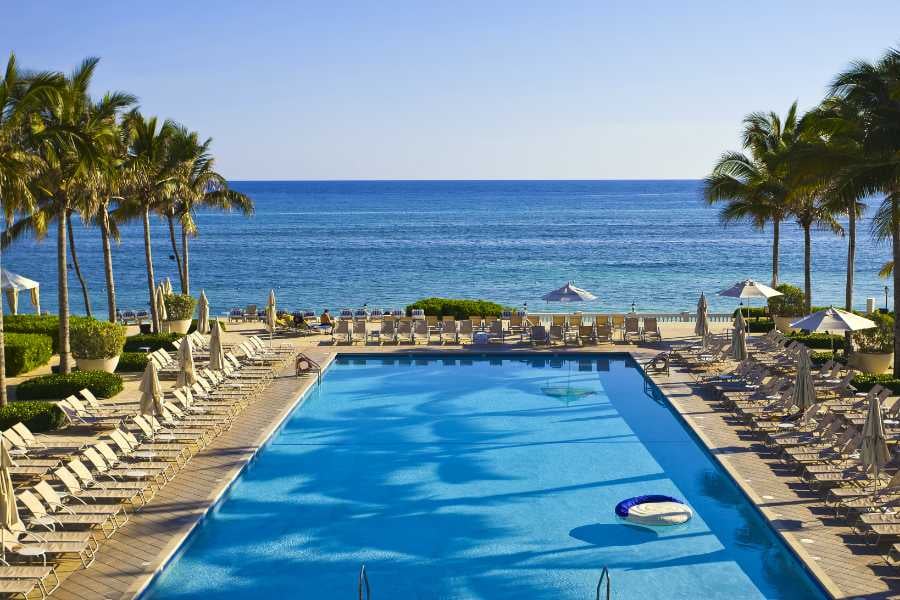 A stunning oceanfront pool with crystal-clear waters, inviting loungers, and palm trees swaying in the sea breeze.