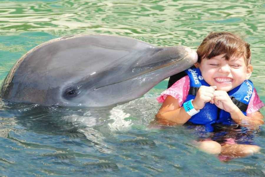 A playful dolphin kisses a smiling girl wearing a life jacket, creating a heartwarming and unforgettable moment.