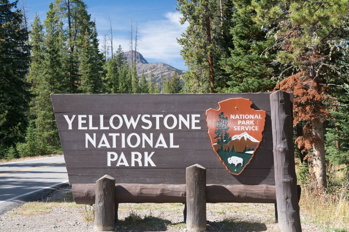Yellowstone in Bozeman image