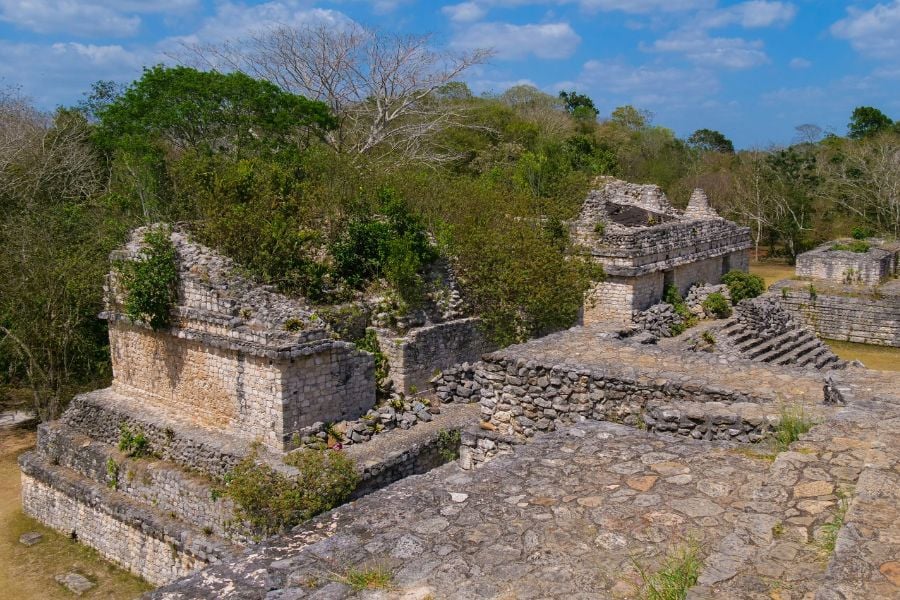 Hidden Mayan ruins rest among trees, showing crumbling walls and ancient paths.