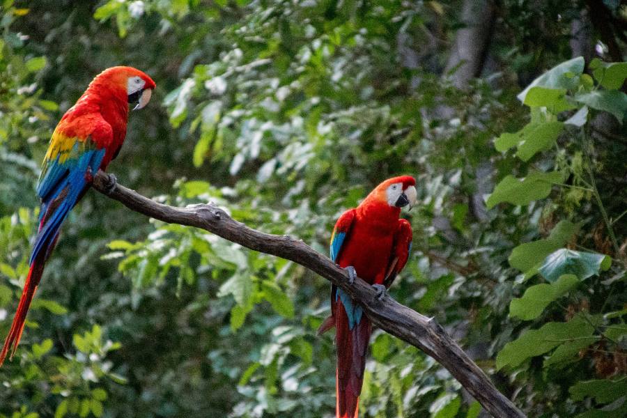 Xel-Ha Park: Our Expert Visitor's Guide