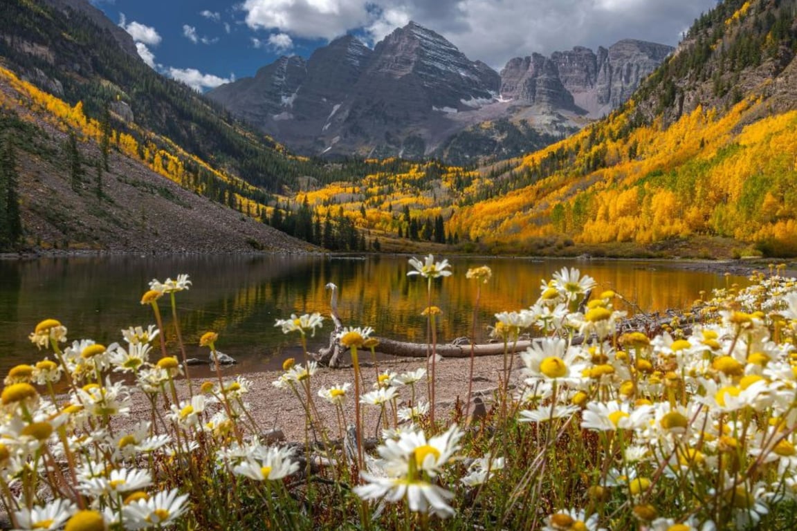 The Best Times To Visit Yellowstone National Park image