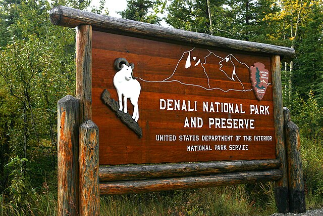 Denali: Our Local Expert’s Guide to the Area