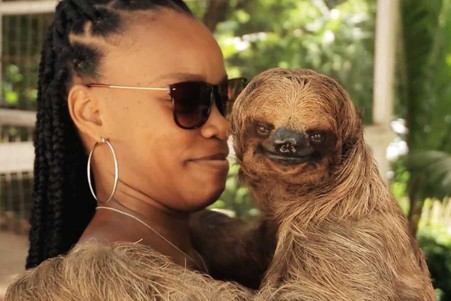 A women lovingly holds a sloth, sharing a unique bonding experience with this adorable creature.