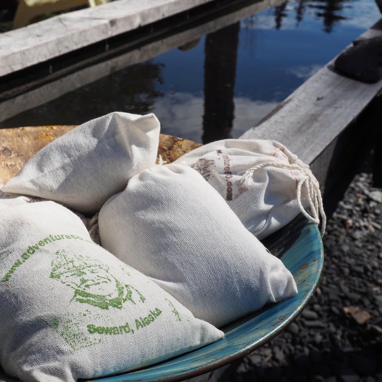 Seward Gold Panning image