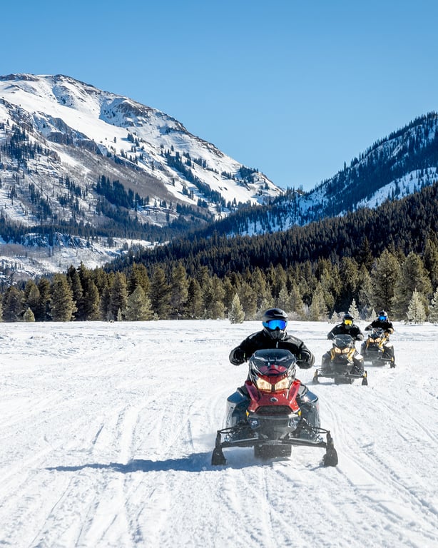 Full Day Summit Supreme Snowmobile Tour Tour Image 6