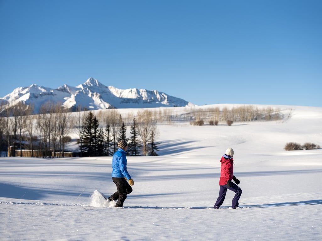 Private Guided Snowshoe In Telluride image