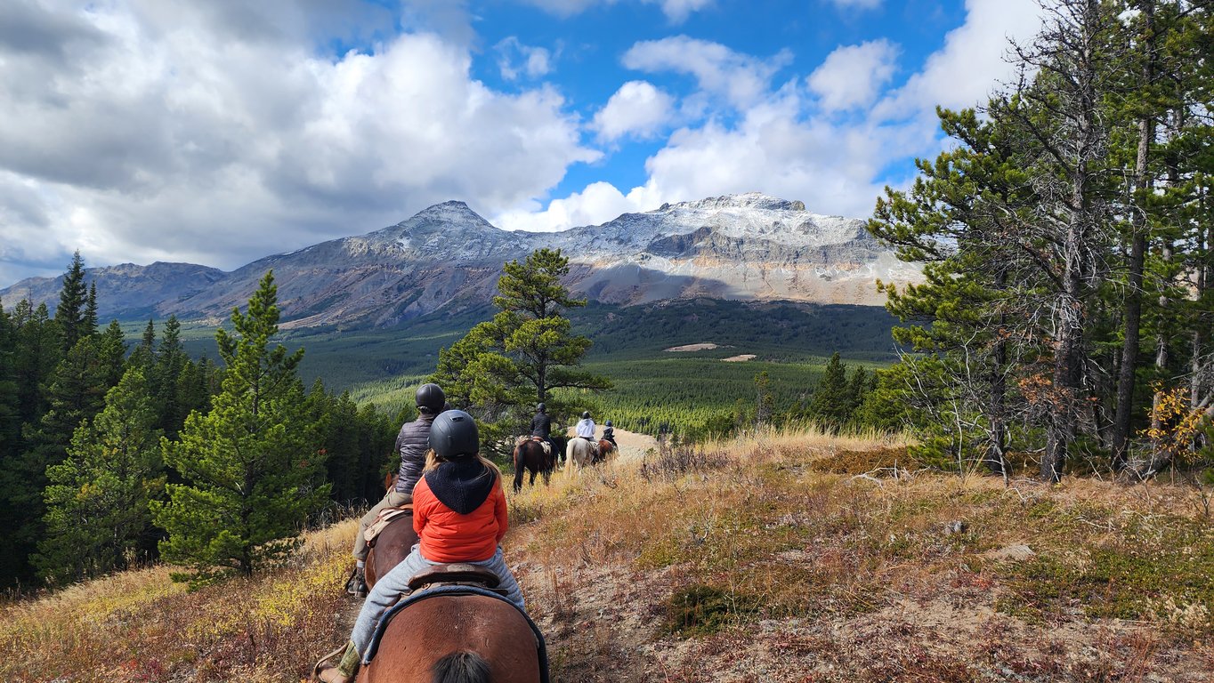 Horseback Trail Ride - Full-Day Tour Image 5