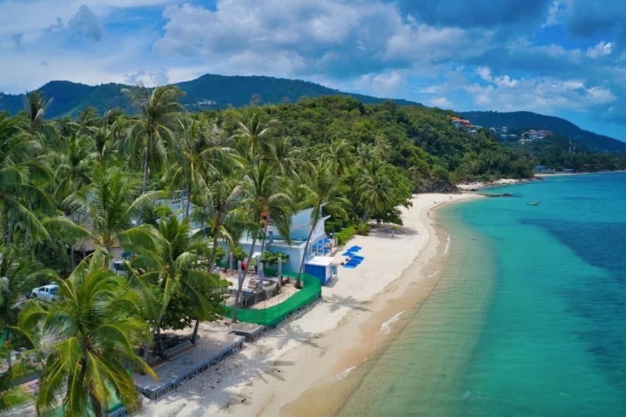 A quiet Negril beach sits below lush green hills and palm trees.